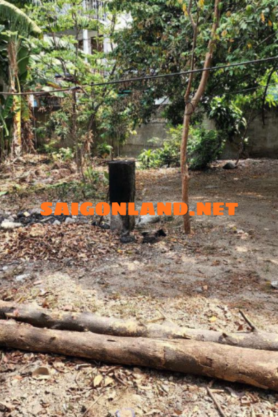 Bán Đất 318,8m² Hẻm Xe Hơi Đường Trần Thị Điệu, Phước Long – Giá 28 Tỷ