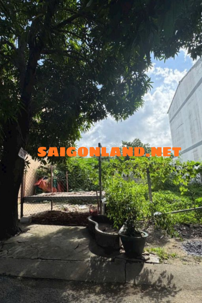 Bán đất 200m² đường số 25 Hiệp Bình Chánh Thủ Đức – Ngang 12m, đường 7m, giá 15 tỷ