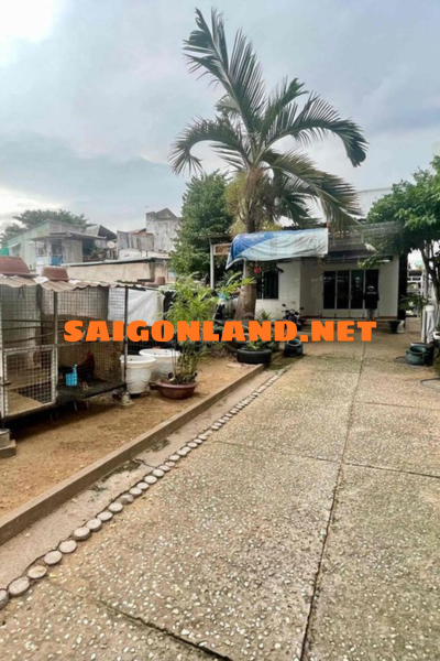 Bán Đất Hẻm Xe Hơi Đường Đình Phong Phú – 419m² Thổ Cư 100%, Giá 31 Tỷ